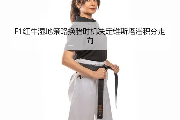 F1红牛湿地策略换胎时机决定维斯塔潘积分走向